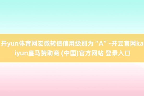 开yun体育网宏微转债信用级别为“A”-开云官网kaiyun皇马赞助商 (中国)官方网站 登录入口