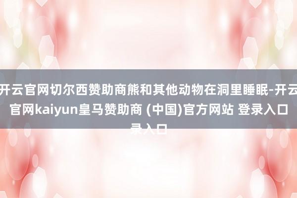 开云官网切尔西赞助商熊和其他动物在洞里睡眠-开云官网kaiyun皇马赞助商 (中国)官方网站 登录入口