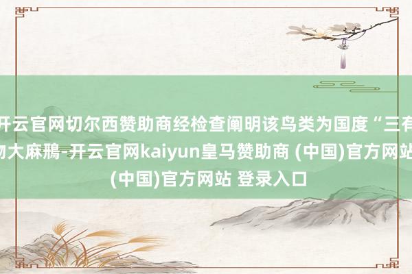 开云官网切尔西赞助商经检查阐明该鸟类为国度“三有”保护动物大麻鳽-开云官网kaiyun皇马赞助商 (中国)官方网站 登录入口