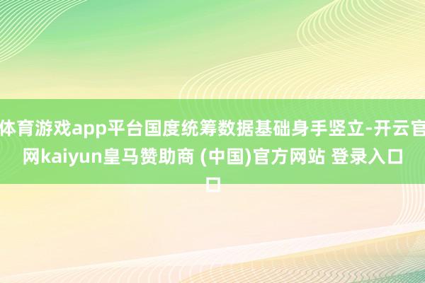 体育游戏app平台国度统筹数据基础身手竖立-开云官网kaiyun皇马赞助商 (中国)官方网站 登录入口