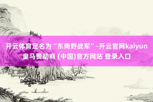 开云体育定名为“东南野战军”-开云官网kaiyun皇马赞助商 (中国)官方网站 登录入口